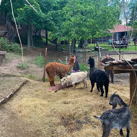 Kъщичка в полите на планина витоша с коне и животни Pensionat