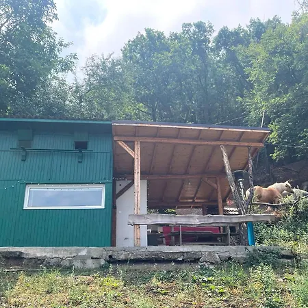 Kъщичка в полите на планина витоша с коне и животни 3*