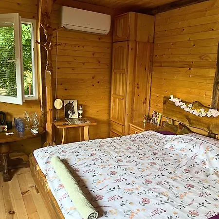 Kъщичка в полите на планина витоша с коне и животни Pensionat