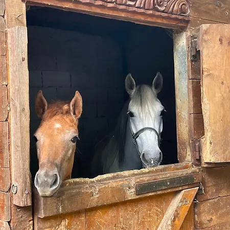Гостевой дом Kъщичка в полите на планина витоша с коне и животни София