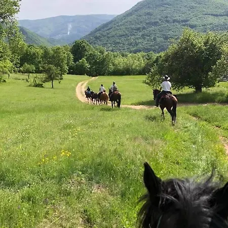 Kъщичка в полите на планина витоша с коне и животни 3* София