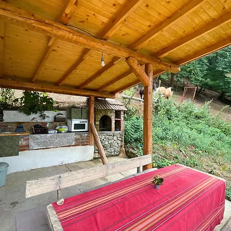 Kъщичка в полите на планина витоша с коне и животни