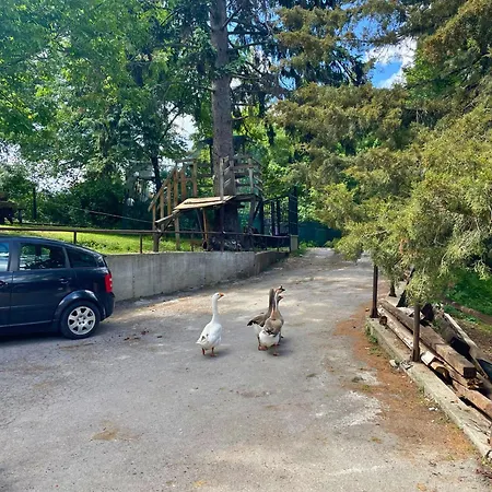 Kъщичка в полите на планина витоша с коне и животни Vendégház