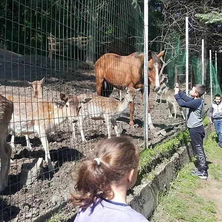 Kъщичка в полите на планина витоша с коне и животни Vendégház
